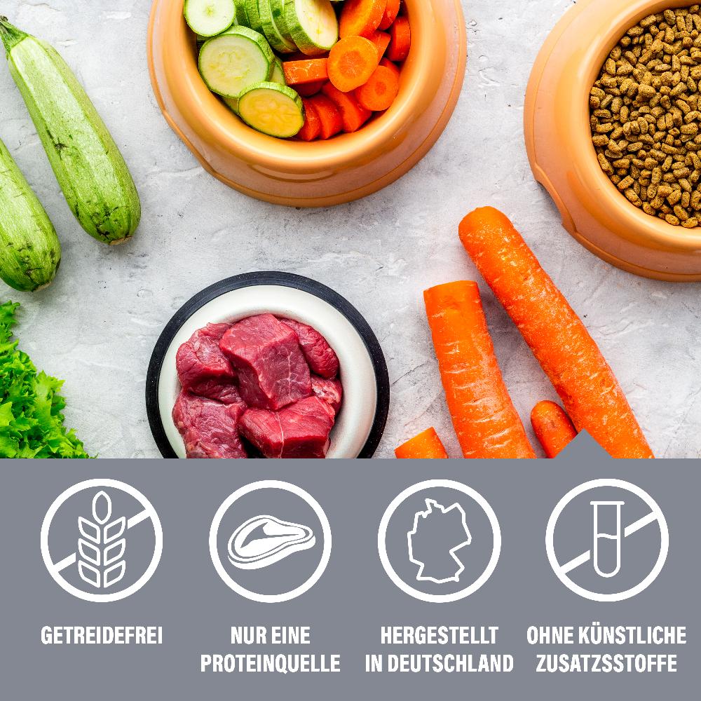 petspremium daily choice Lachs mit Kartoffeln und Erbsen Grainfree Trockenfutter 2 x 15 kg zollfrei