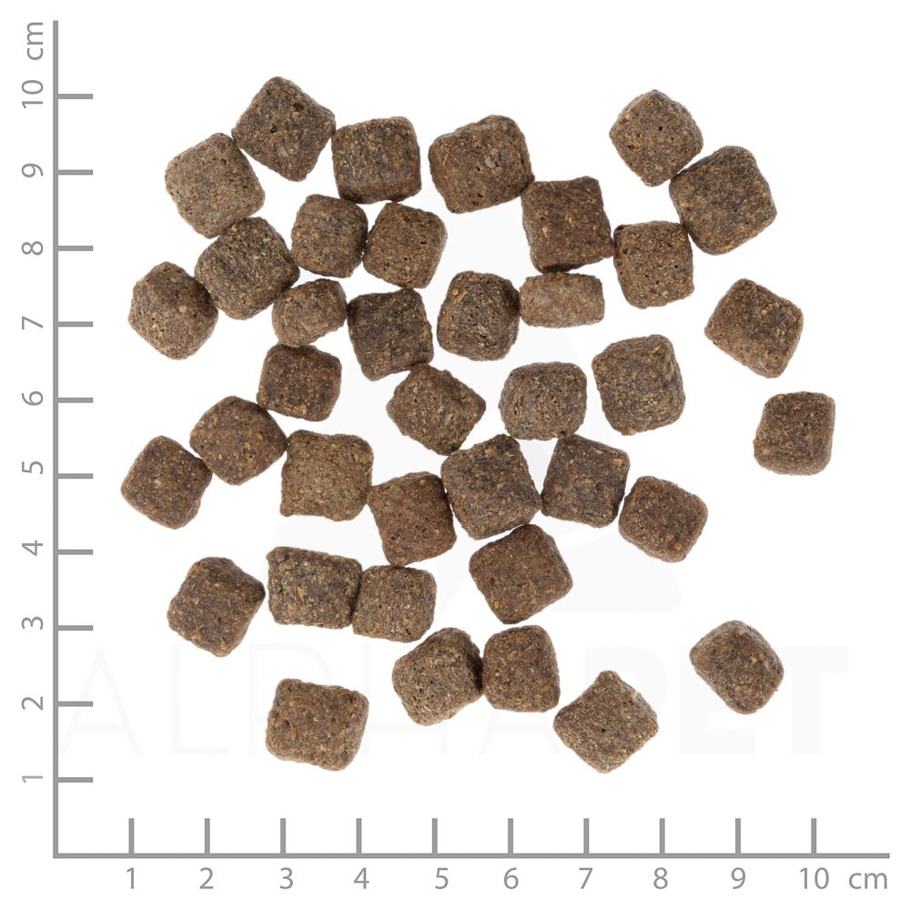 petspremium Wolfsblut Dark Forest Senior Trockenfutter 12 5 kg Begrenztes Angebot