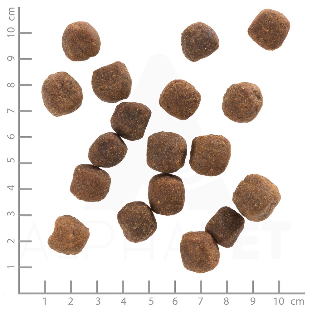 petspremium Wolfsblut Wild Duck - Ente und Kartoffel Adult Trockenfutter 2 x 12 5 kg Neueste Mode