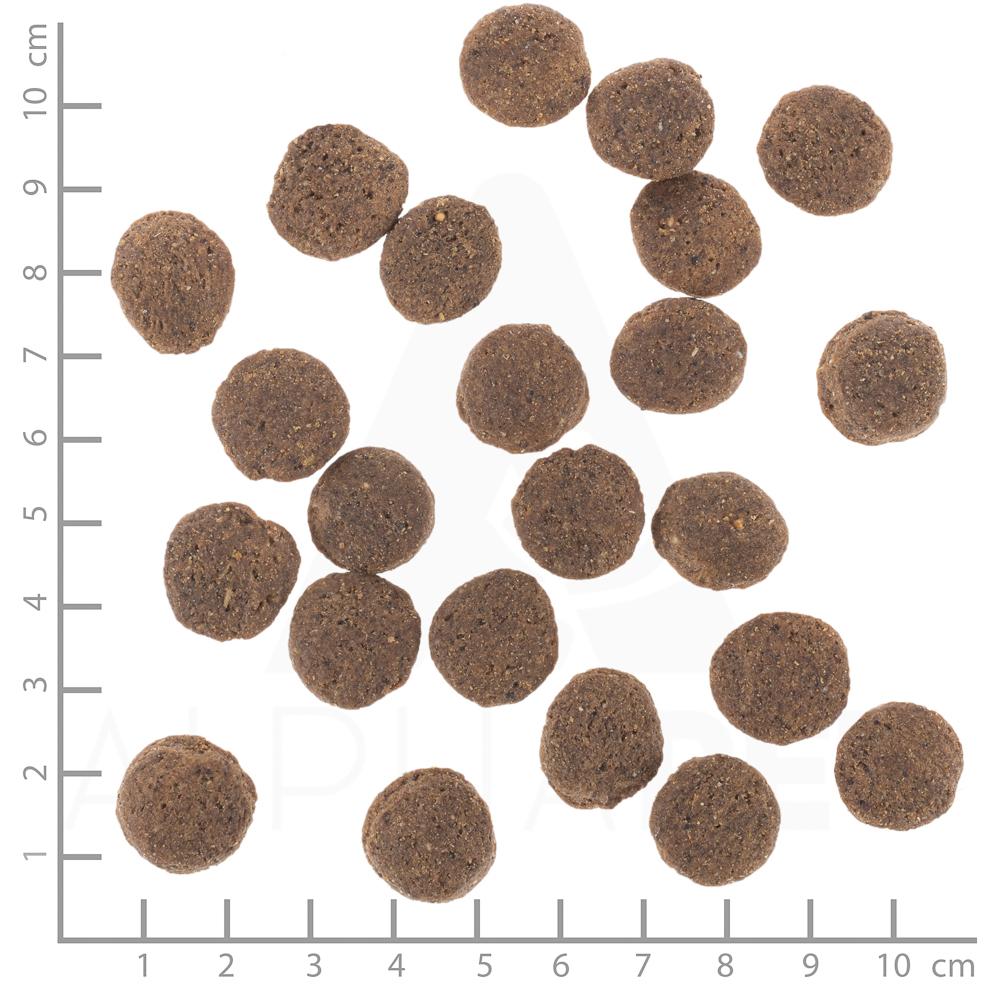 petspremium Wolfsblut Hypoallergenic VetLine Trockenfutter 12 kg Exklusive Angebote