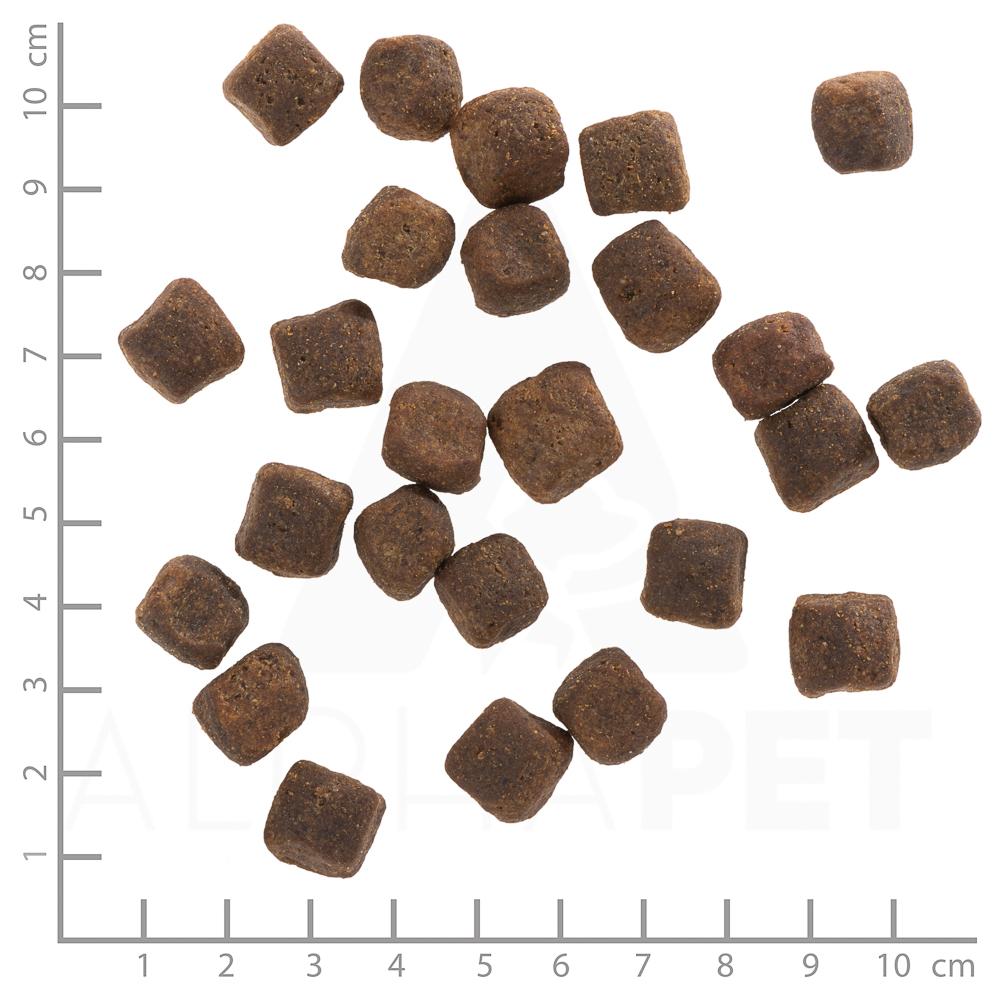 petspremium Wolfsblut Dark Forest - Wild und Süßkartoffel Adult Trockenfutter 2 x 12 5 kg Discount Store für neue Produkte