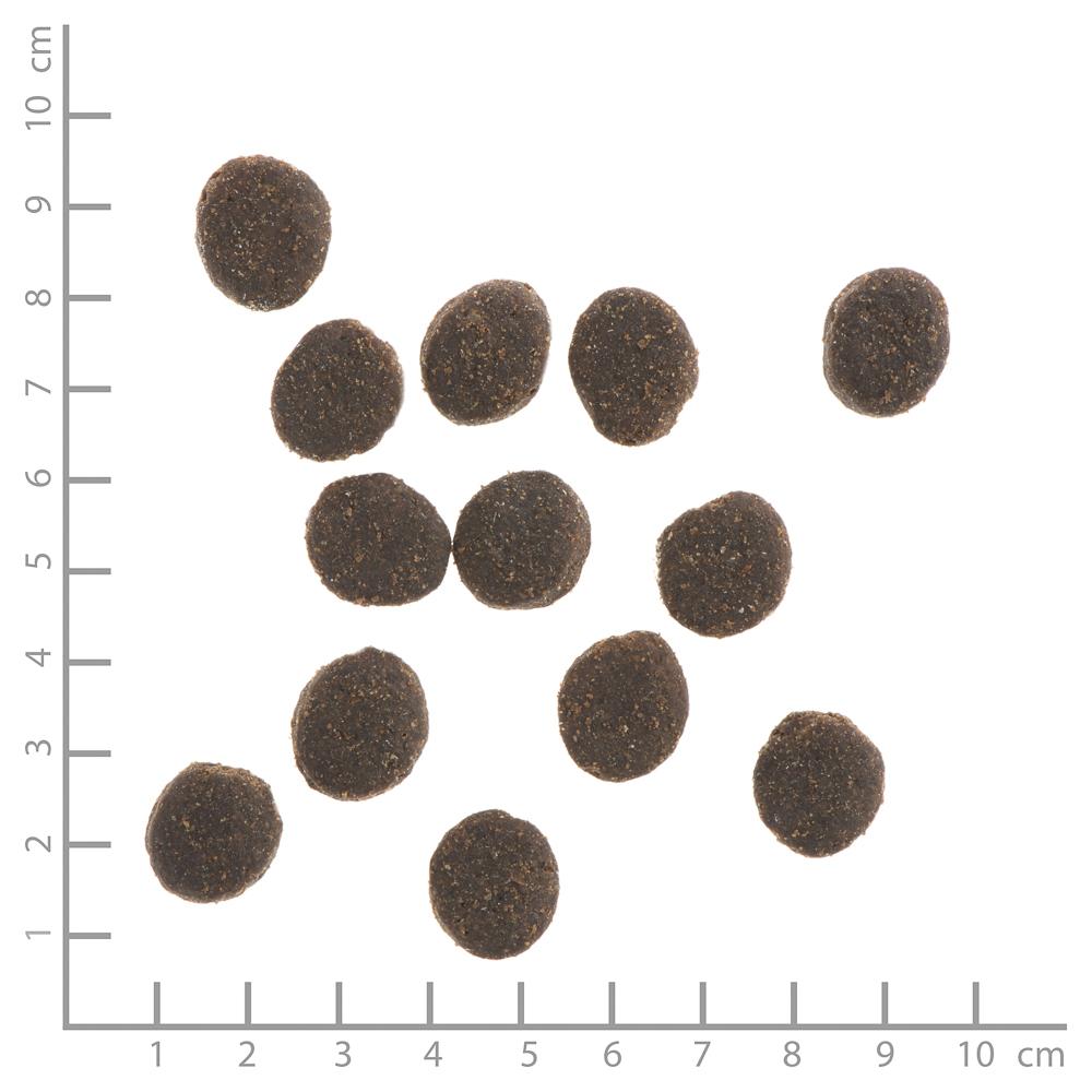 petspremium Wildes Land Kaninchen mit Kartoffeln und Wildkräutern Classic Adult Trockenfutter 2 x 12 kg 50% Rabatt mit kostenlosem Versand
