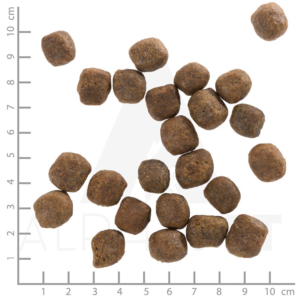 petspremium Wolfsblut Cold River - Forelle und Süßkartoffel Adult Trockenfutter 2 x 12 5 kg Kostenloser Versand international
