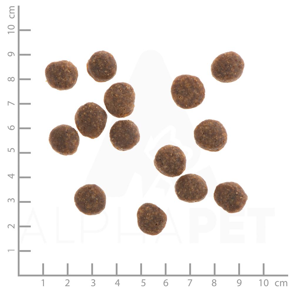 petspremium Wildes Land Ente mit Kartoffeln und Wildkräutern Classic Adult Trockenfutter 12 kg Outlet