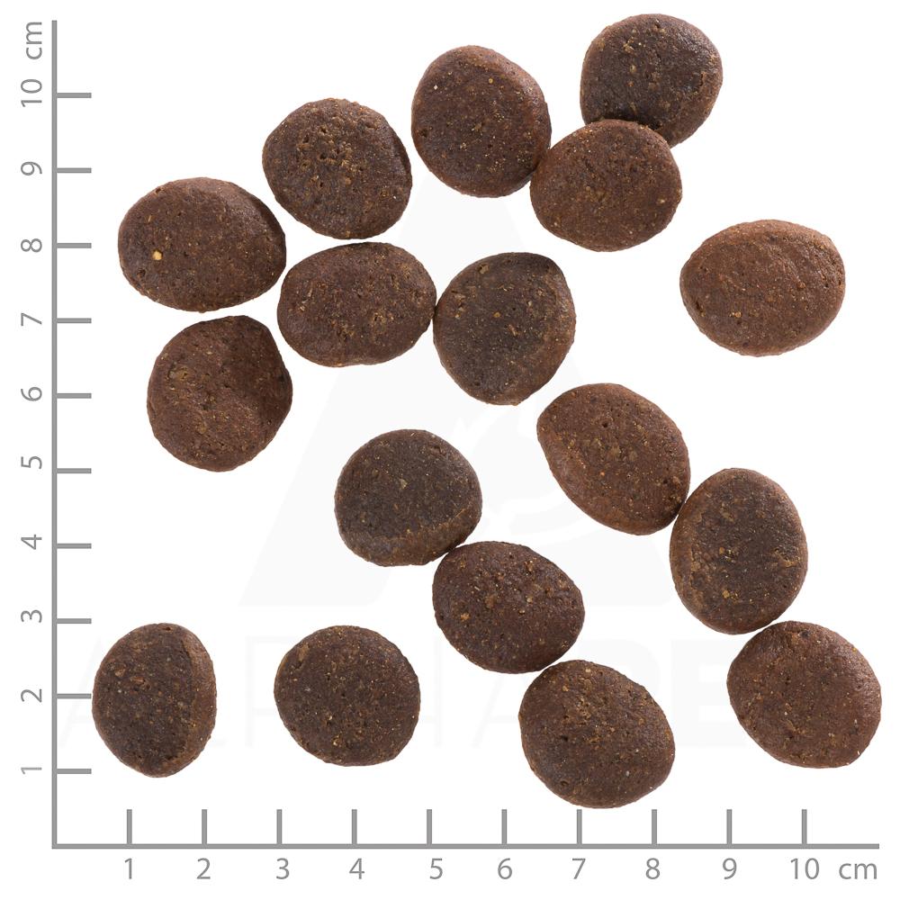 petspremium Wolfsblut Polar Night - Rentierfleisch und Kürbis Adult Trockenfutter 12 5 kg Flash Sale