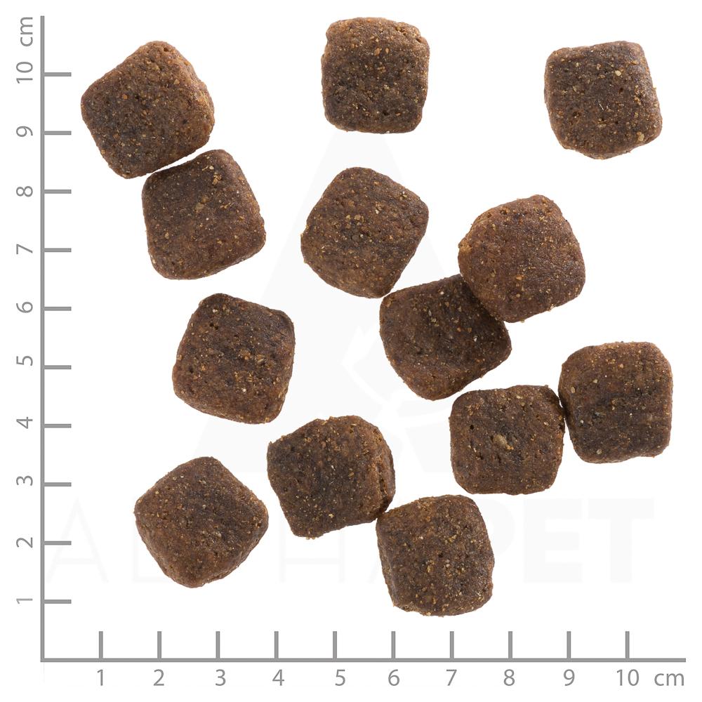 petspremium Wolfsblut Wild Duck - Ente und Kartoffel Large Breed Trockenfutter 2 x 12 5 kg Online Outlet