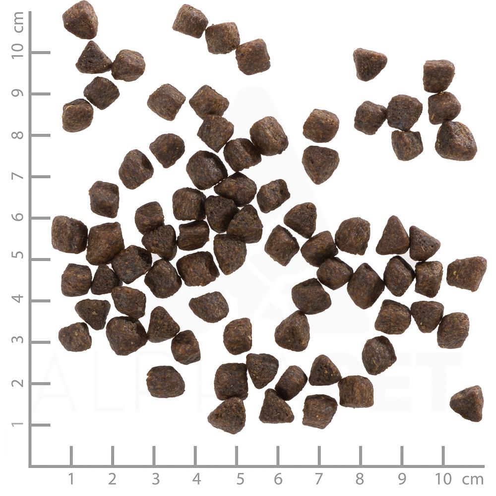 petspremium Wolfsblut Cold River - Forelle und Süßkartoffel Puppy Trockenfutter 2 x 12 5 kg Super Sparpreis