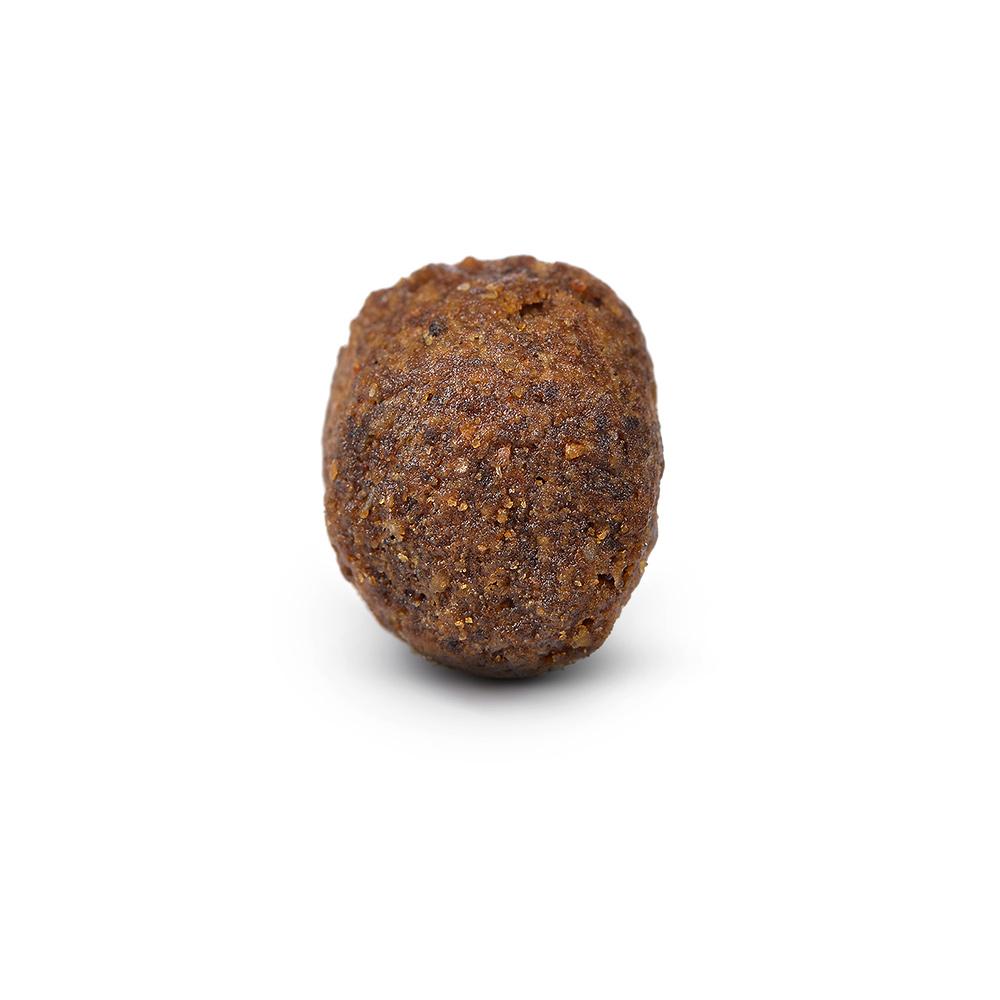 petspremium Arden Grange Adult mit frischem ozeanischem Weißfisch & Kartoffel getreidefrei Grainfree Trockenfutter 2 x 12 kg 2025