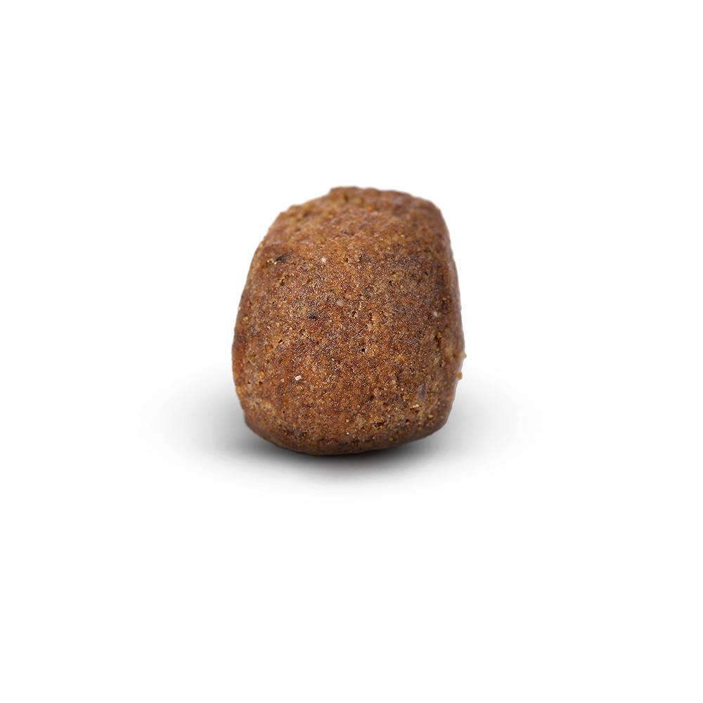 petspremium Arden Grange Premium Reich an frischem Huhn & Reis Trockenfutter 12 kg im Angebot
