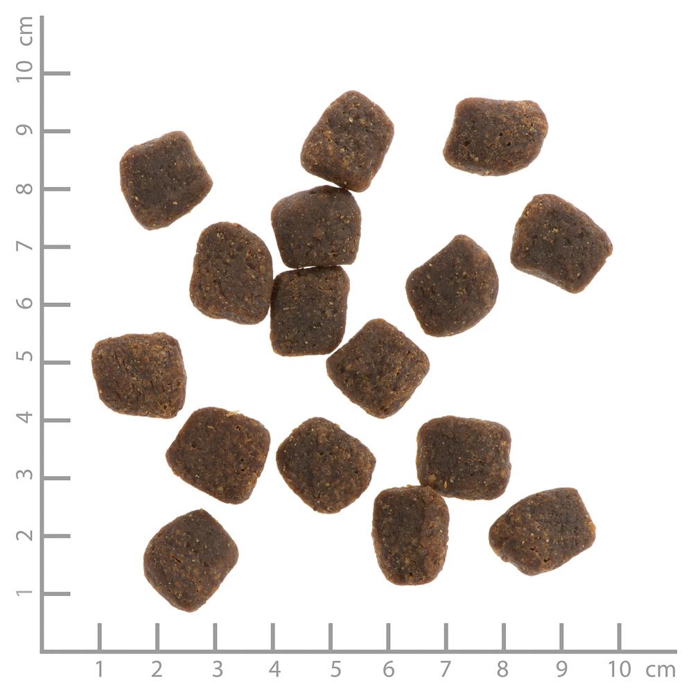 petspremium Wildes Land Truthahn und Lachs mit Reis und Wildkräutern Soft Adult Trockenfutter 30 kg Günstig kaufen