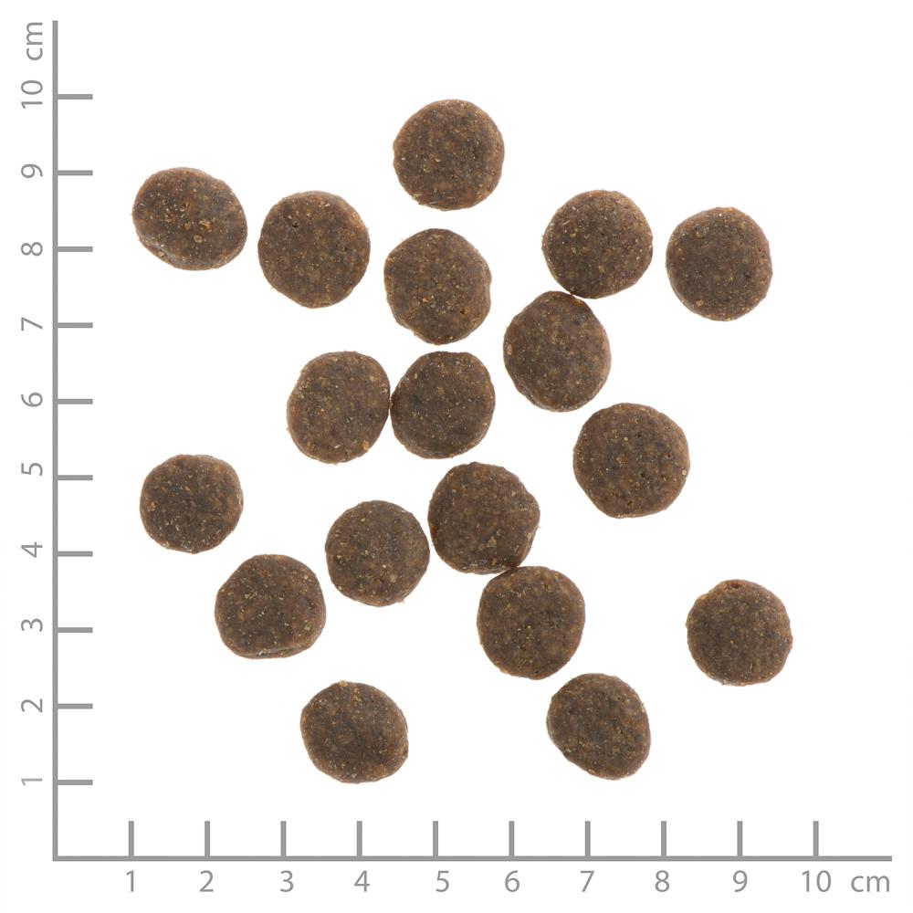 petspremium Wildes Land Forelle und Lachs mit Kartoffeln und Wildkräutern Classic Adult Trockenfutter 12 kg Preisnachlass