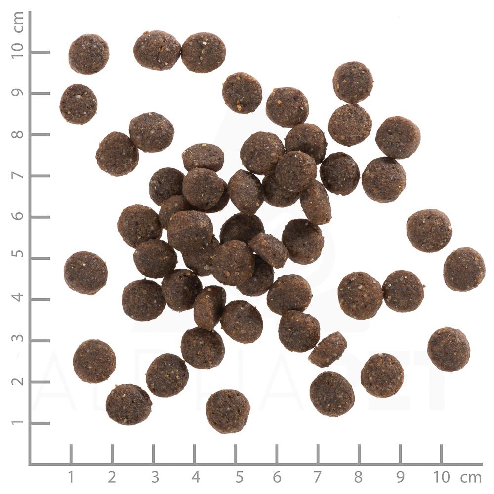 petspremium Wolfsblut Range Lamb - Lamm und Vollkornreis Puppy Trockenfutter 12 5 kg Jubiläumsangebot