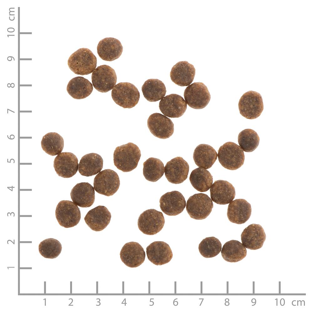 petspremium Wildes Land Ente und Huhn mit Kartoffeln und Wildkräutern Classic Puppy Trockenfutter 12 kg Discount Store für neue Produkte