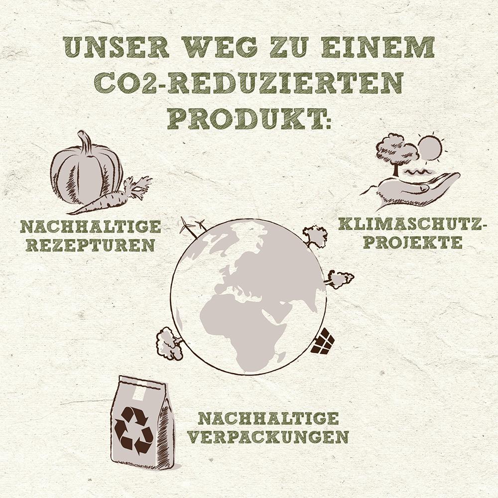 petspremium Wildes Land PAWPRINT VEGGIE Kürbis & Karotte mit frischem Gemüse & Wildkräutern Adult Trockenfutter 10 kg Muttertagsangebot