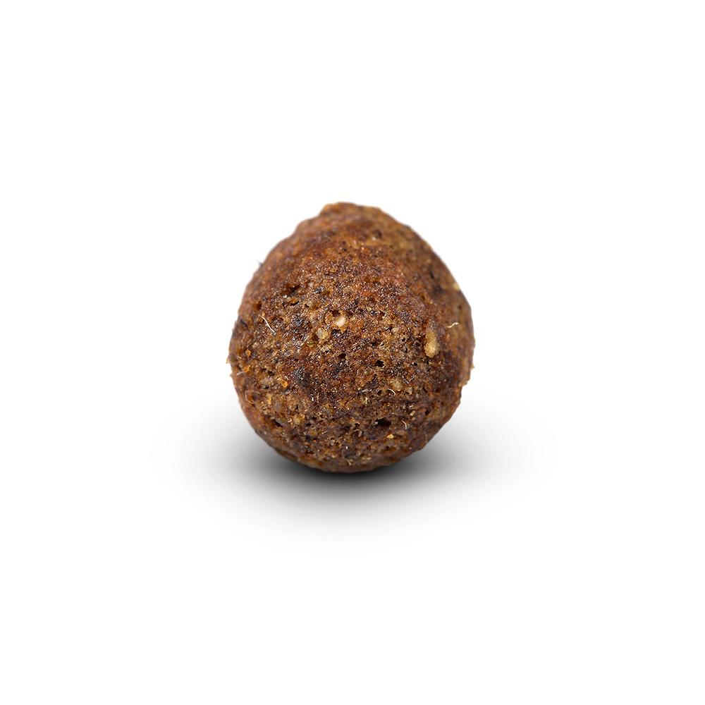 petspremium Arden Grange Adult mit frischem Lammfleisch & Reis Trockenfutter 2 x 12 kg Begrenzte Freigabe