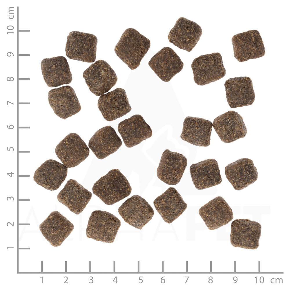 petspremium Wolfsblut Dark Forest - Wild und Süßkartoffel Small Breed Trockenfutter 2 kg Begrenzte Freigabe