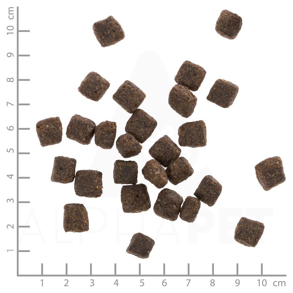 petspremium Wolfsblut Black Bird - Truthahn und Süßkartoffel Senior Trockenfutter 2 kg Kostenloser Versand international