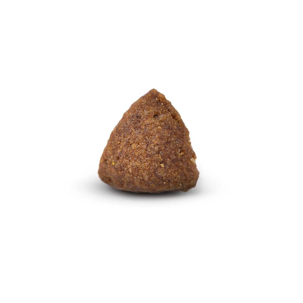 petspremium Arden Grange Mini Adult mit frischem Huhn & Reis Trockenfutter 6 kg Saisonschlussverkauf