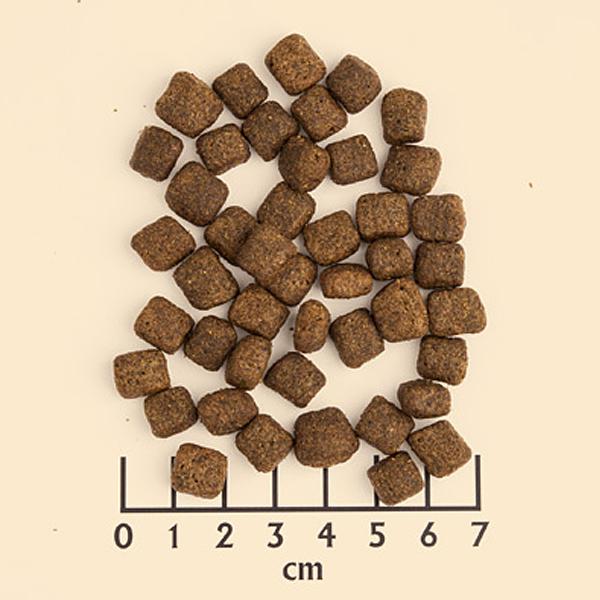 petspremium Wolfsblut Black Bird - Truthahn und Süßkartoffel Senior Trockenfutter 3 x 2 kg Riesige Rabatte