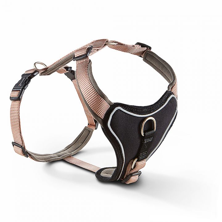 petspremium Wolters Professional Comfort champagner/trüffel Halsband & Geschirr 4 / 60 - 70 cm x 30 mm