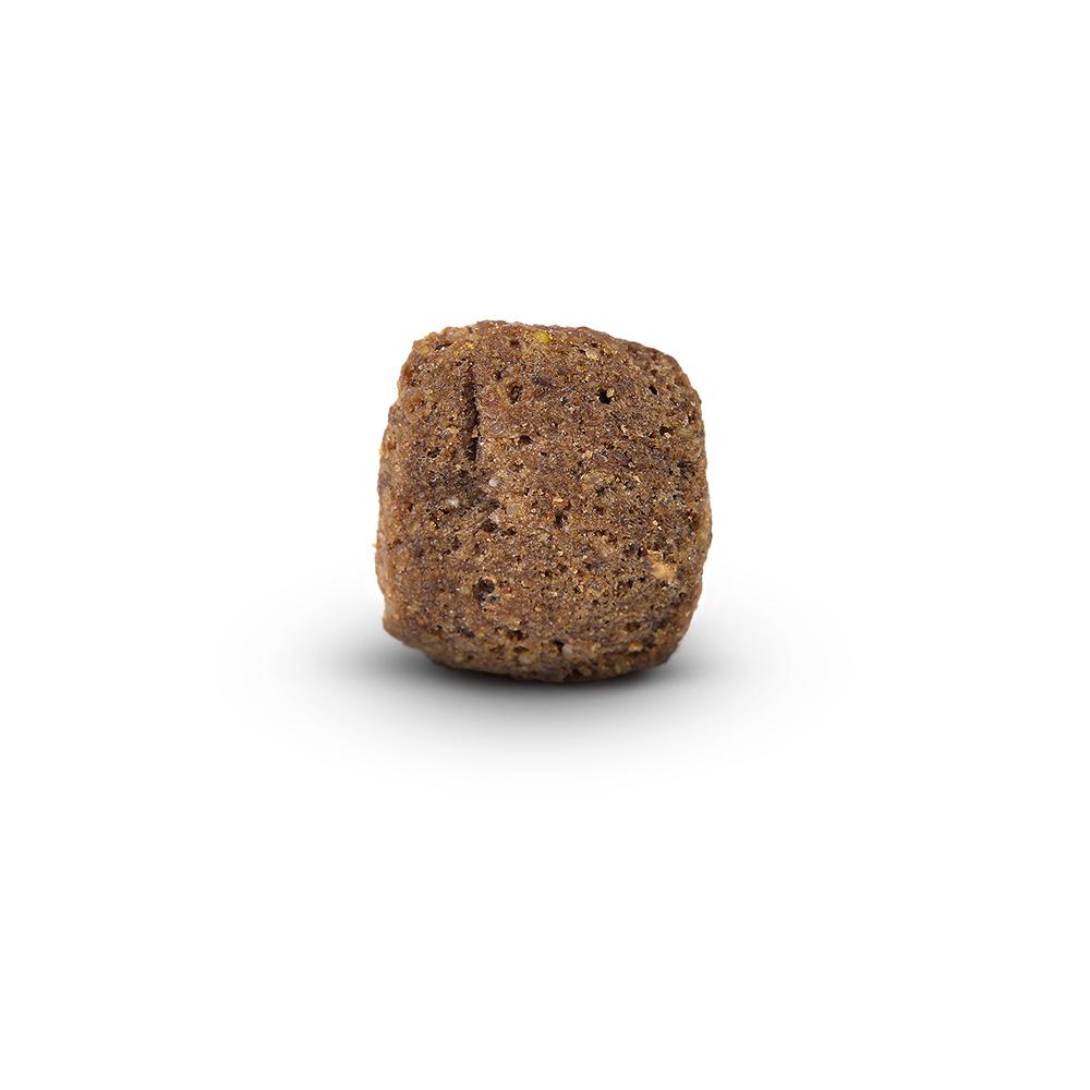 petspremium Arden Grange Senior mit frischem Huhn & Reis Trockenfutter 4 x 2 kg Günstiger Verkauf