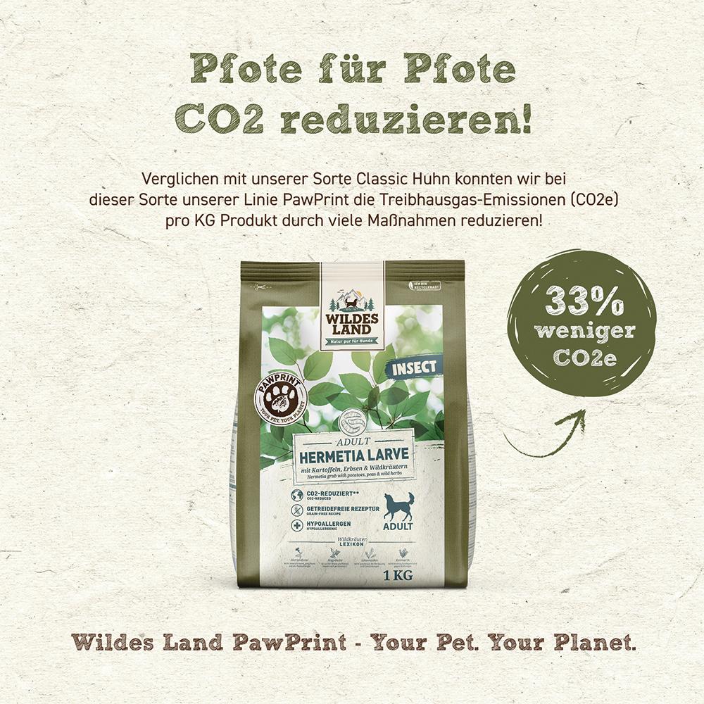 petspremium Wildes Land PAWPRINT INSECT Hermetia Larve mit Kartoffeln Erbsen und Wildkräutern Adult Trockenfutter 5 x 1 kg Black Friday