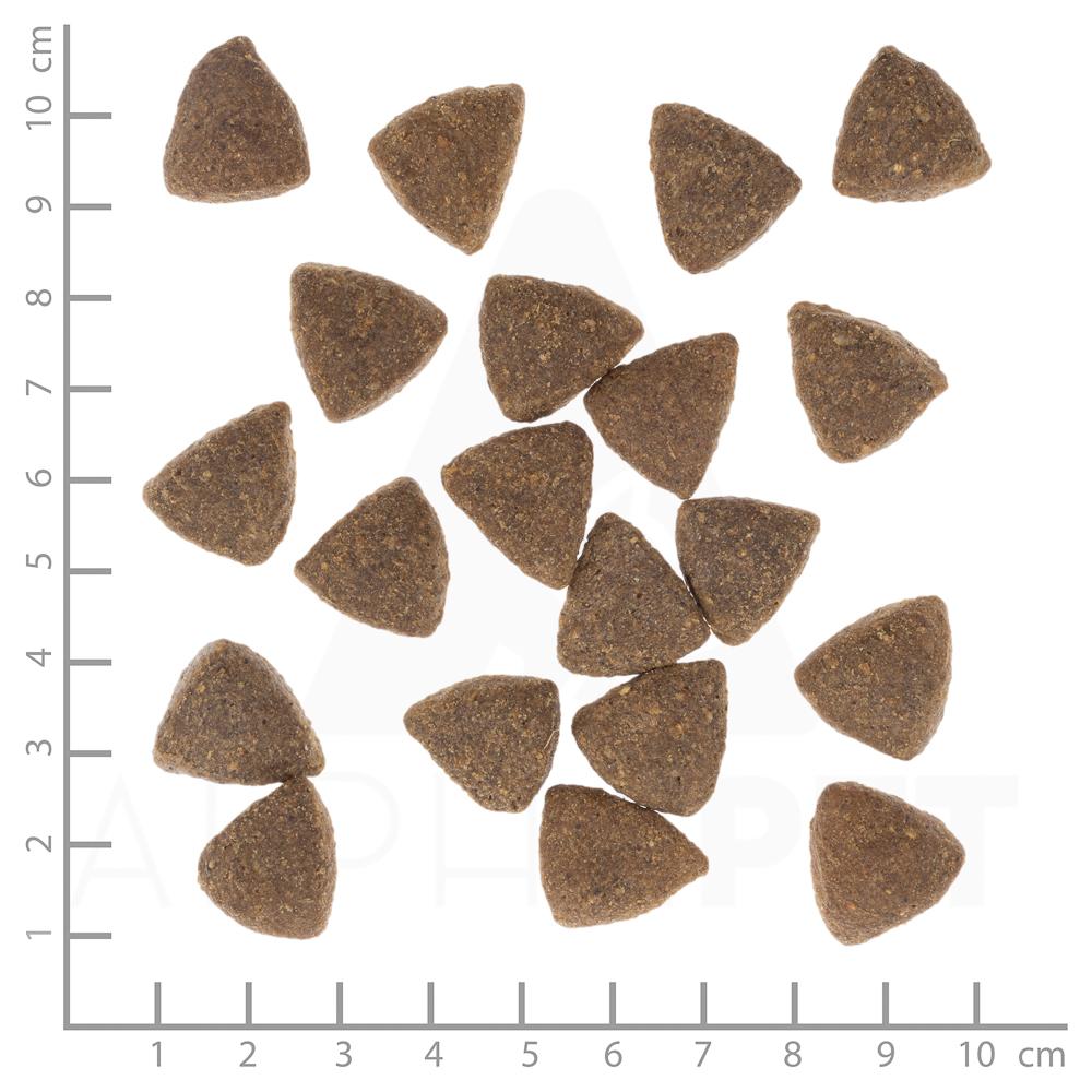 petspremium Wolfsblut Dark Forest - Wild und Süßkartoffel Large Breed Trockenfutter 2 kg Exklusive Angebote