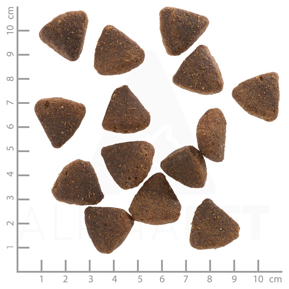 petspremium Wolfsblut Wild Duck - Ente und Kartoffel Large Breed Puppy Trockenfutter 2 kg Super Rabatt