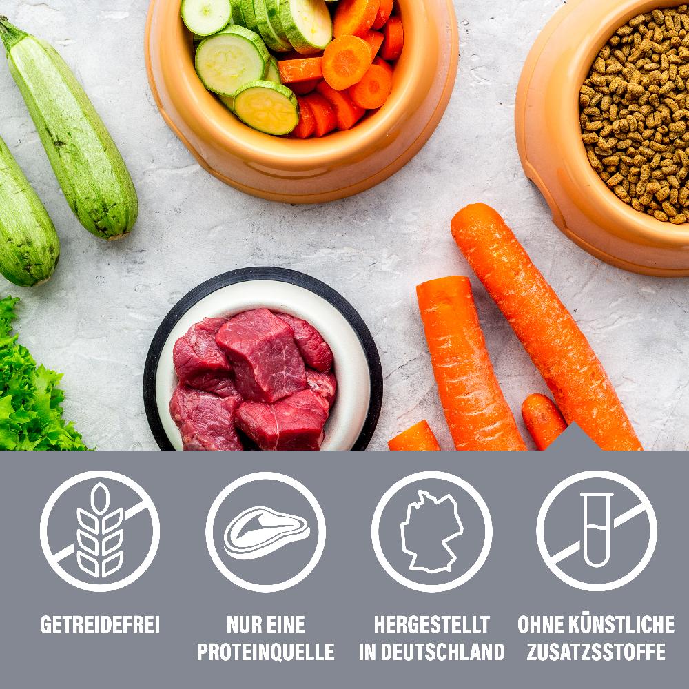 petspremium daily choice Lachs mit Kartoffeln und Erbsen Grainfree Trockenfutter 4 x 1 5 kg Cyber Monday