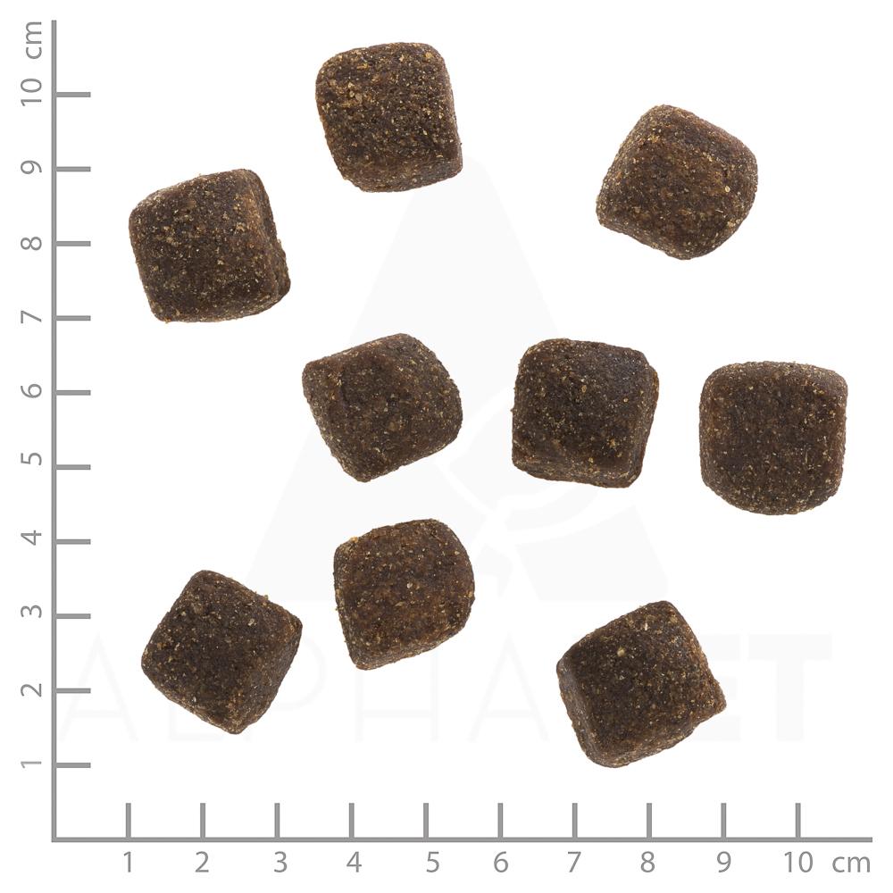petspremium Wolfsblut Wide Plain Large Breed - Pferdefleisch & Süßkartoffel Squashies Snack 300 g Bis zu 50% Rabatt