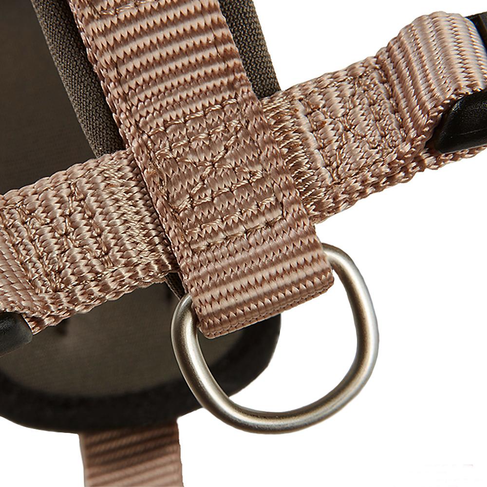 petspremium Wolters Professional Comfort champagner/trüffel Halsband & Geschirr 3 / 50 - 60 cm x 30 mm Nur noch ein Tag übrig