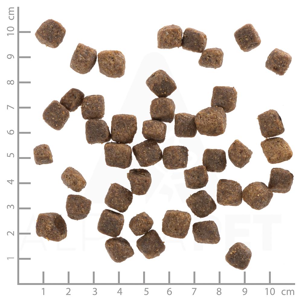 petspremium Wolfsblut Deep Glade - Rothirsch und Wasserbüffel Puppy Trockenfutter 2 kg Begrenztes Angebot