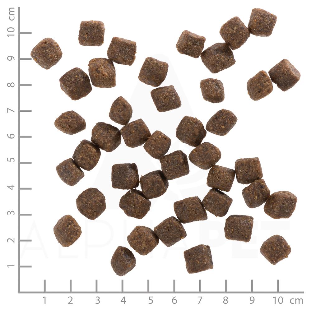 petspremium Wolfsblut Black Bird - Truthahn und Süßkartoffel Puppy Trockenfutter 2 kg Muttertagsangebot