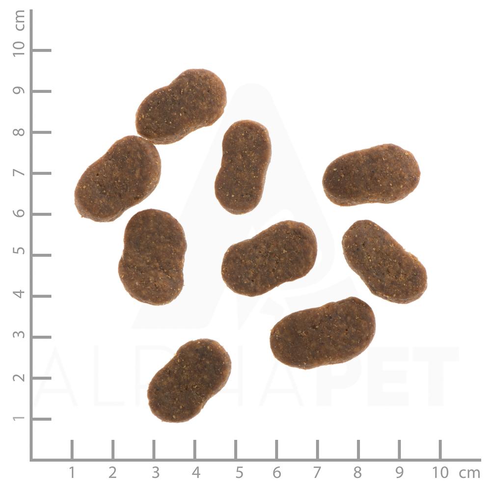 petspremium Wildes Land Lamm und Lachs mit Kartoffeln und Wildkräutern Classic Adult Trockenfutter 1 kg Neueste Stile