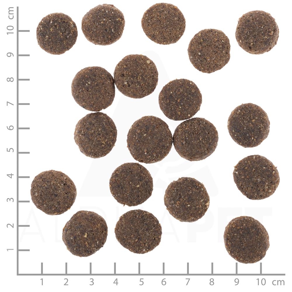 petspremium Wolfsblut Range Lamb - Lamm und Vollkornreis Senior Trockenfutter 500 g Bis zu 65% Rabatt