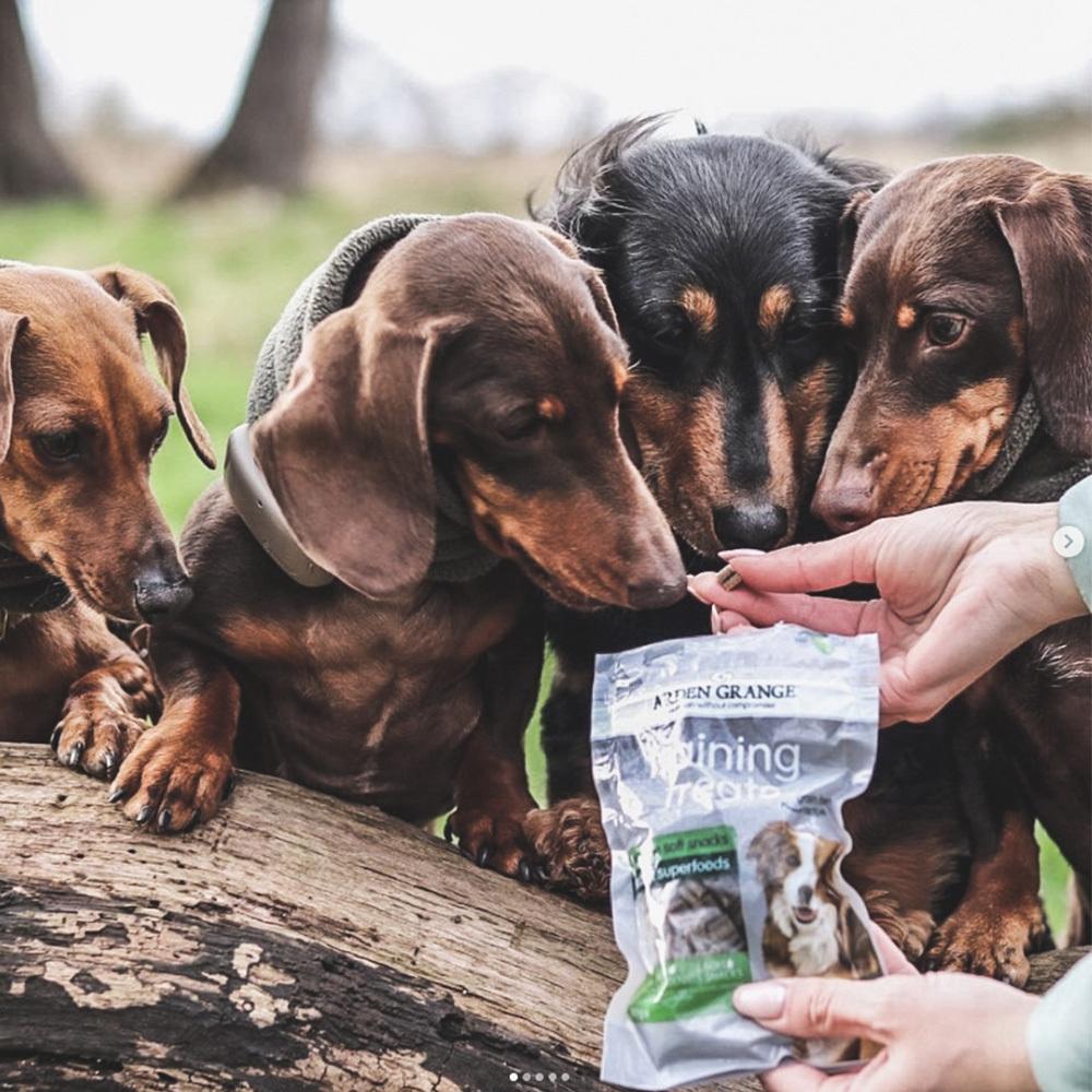 petspremium Arden Grange Grain Free - Mit Lamm und Superfoods Training Treats Snack 80 g Begrenzt auf 3 Tage