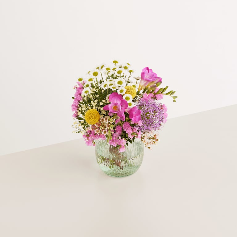 blume2000 Frühlingsleuchten mit Geburtstagsküchlein und Sekt Zeitbegrenzte Promotion