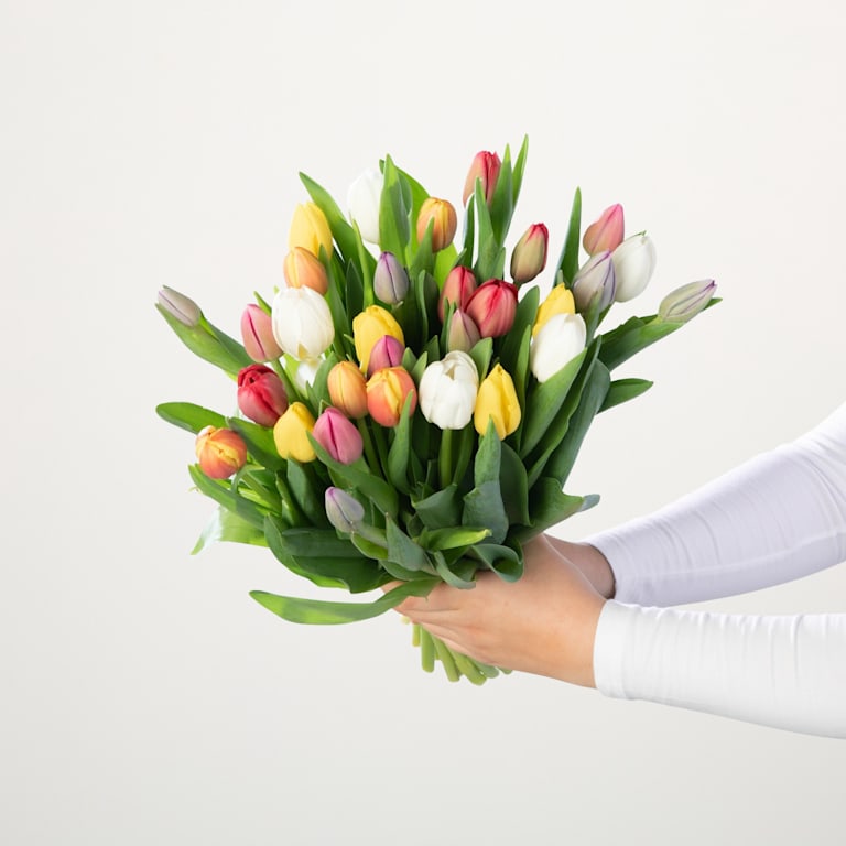 blume2000 Bunte Tulpen - 30 Stiele Sonderangebot der Fabrik