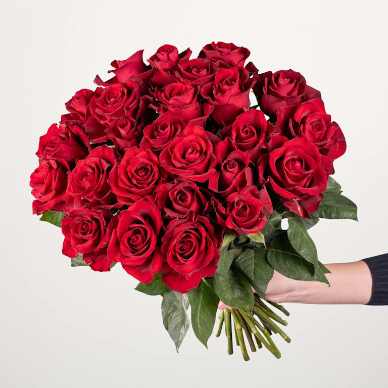 blume2000 Rote Premium-Rosen - 25 Stiele