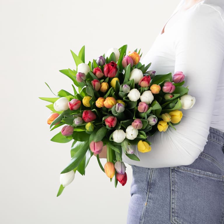 blume2000 Bunte Tulpen - 50 Stiele Kostenloser Versand international