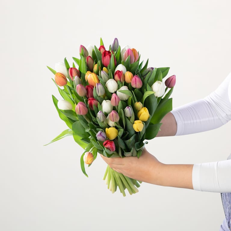 blume2000 Bunte Tulpen - 50 Stiele Kostenloser Versand international