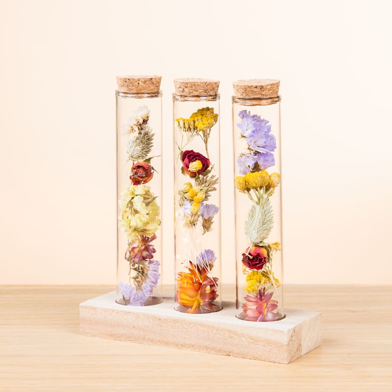 blume2000 Trockenblumen im Set Little Wish zollfrei