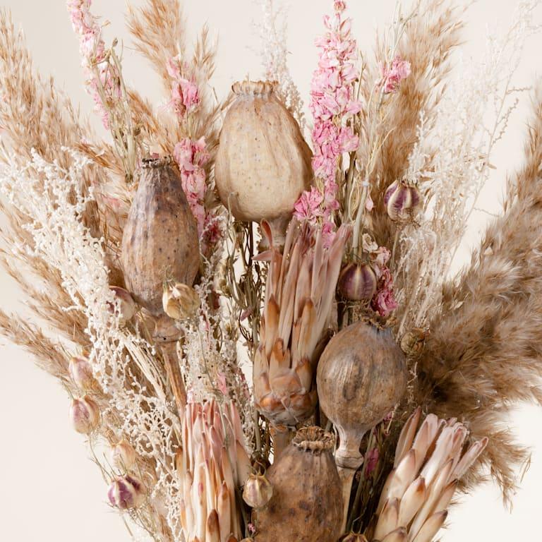 blume2000 Trockenblumenstrauß Pastell Boho Flash Sale