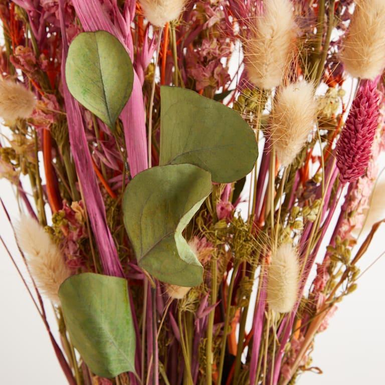 blume2000 Trockenblumenstrauß Rosy Eucalyptus Exklusivangebot