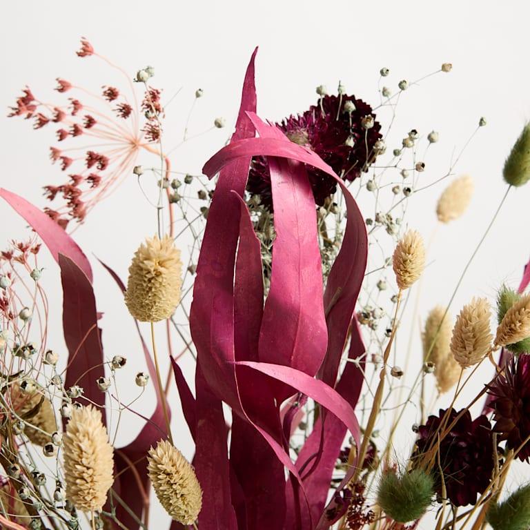 blume2000 Trockenblumenstrauß Bohemian Eukalyptus Cyber Monday