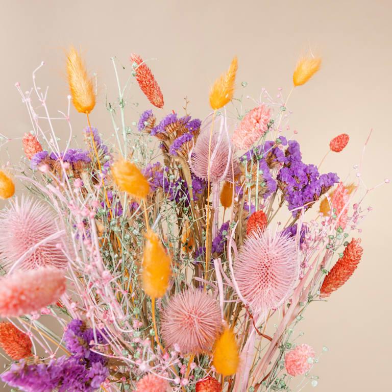 blume2000 Trockenblumenstrauß Pastell Beauty Weihnachtsangebot