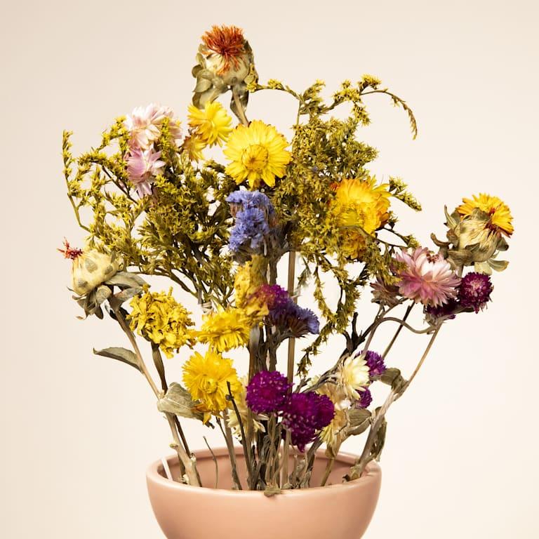 blume2000 Trockenblumenstrauß Bunt Lagerräumung