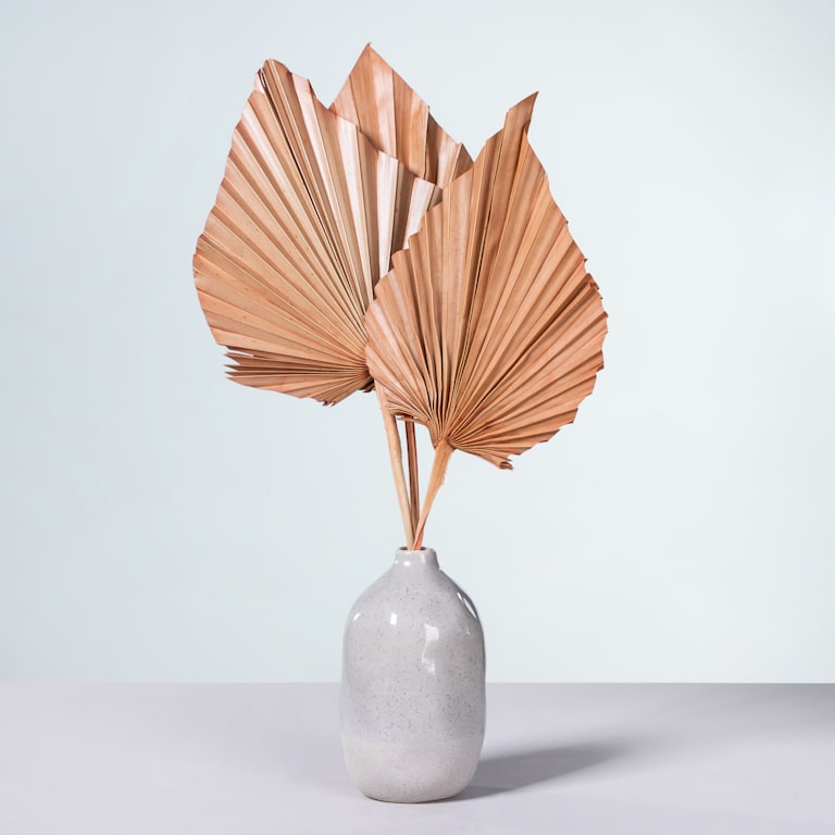 blume2000 Trockenblumenbund Palm Spear Peach Heißer Verkauf