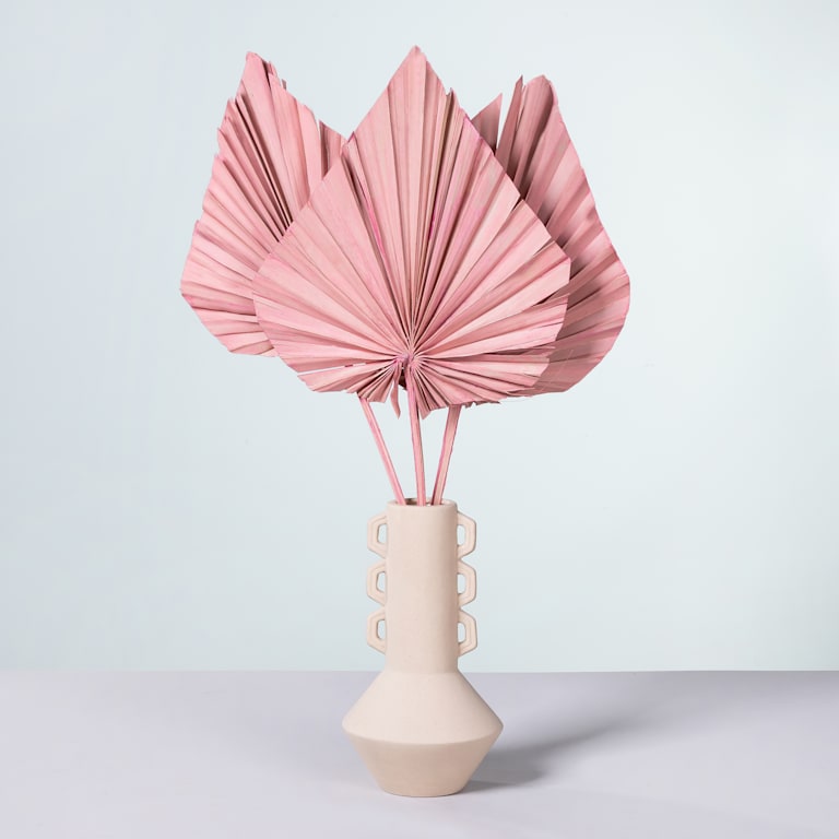 blume2000 Trockenblumenbund Palm Spear Rosa Top Angebot