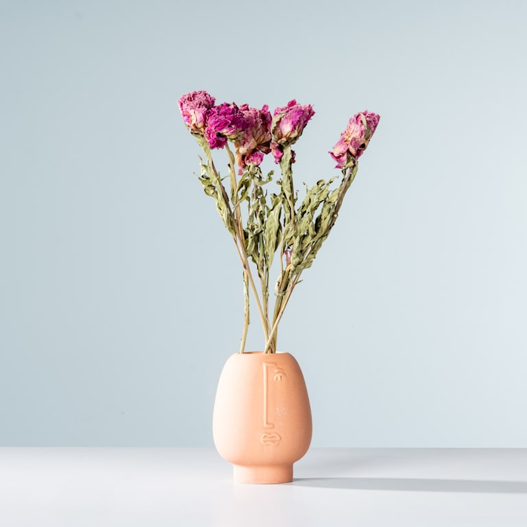 blume2000 Trockenblumenbund Paeonie